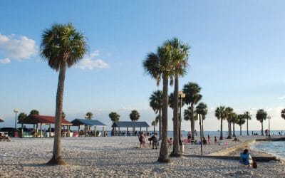 A Day at Pine Island Park: Your Coastal Escape on the Adventure Coast